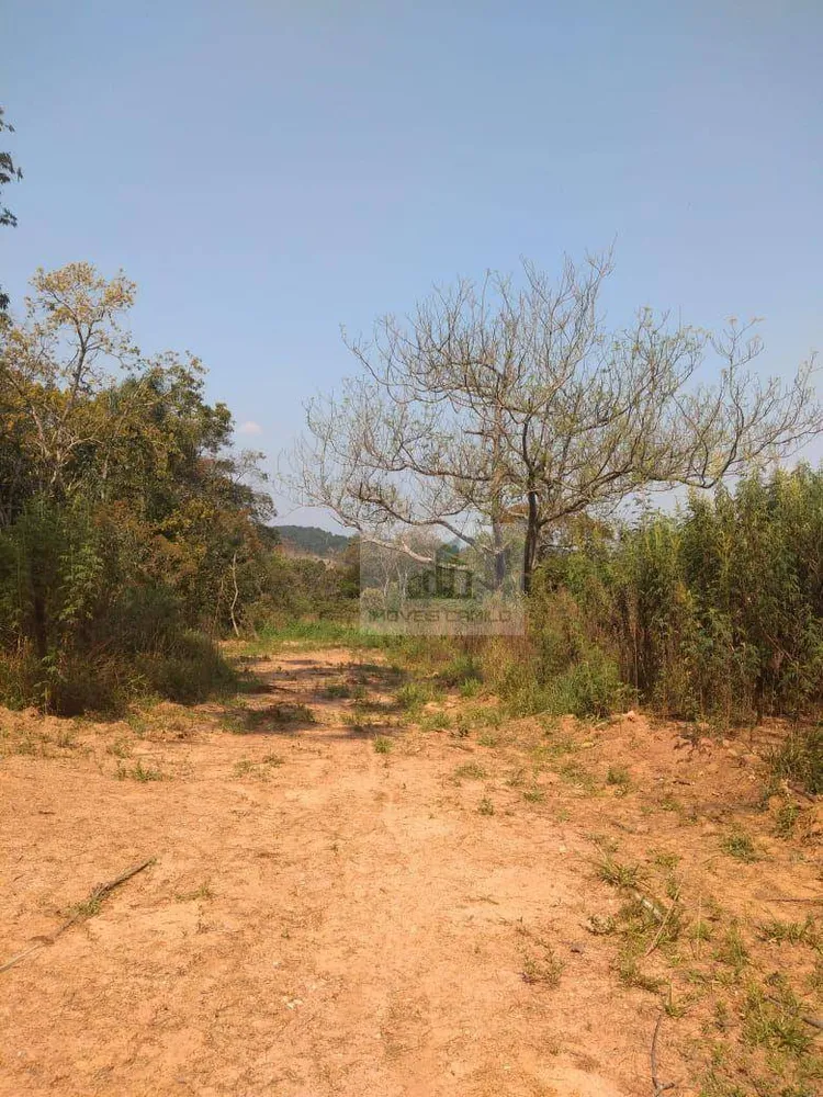 Terreno, 1000 m² - Foto 3