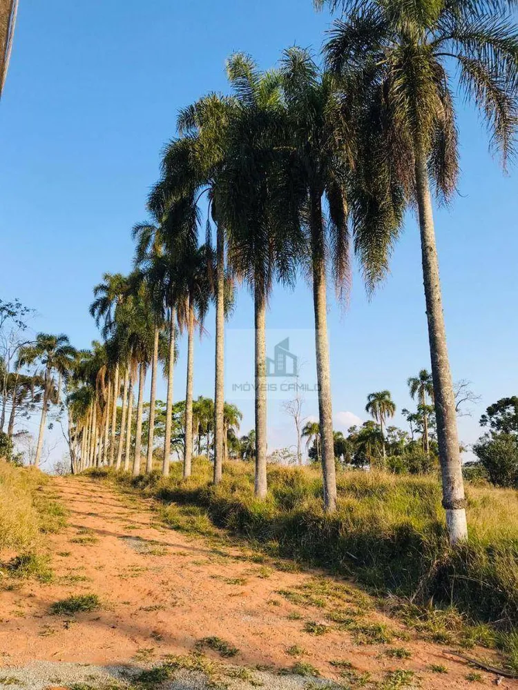 Terreno, 1000 m² - Foto 4
