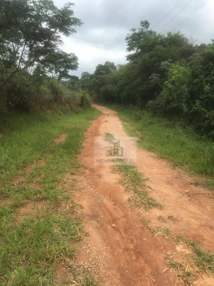 Terreno, 11 hectares - Foto 4