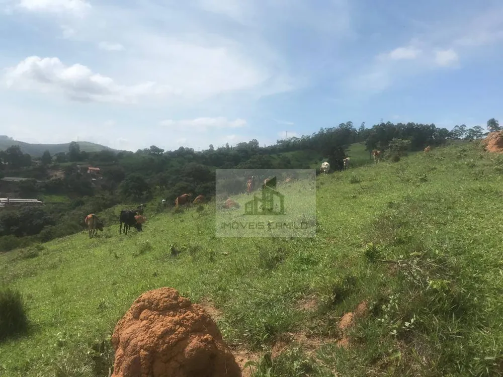 Terreno, 11 hectares - Foto 3