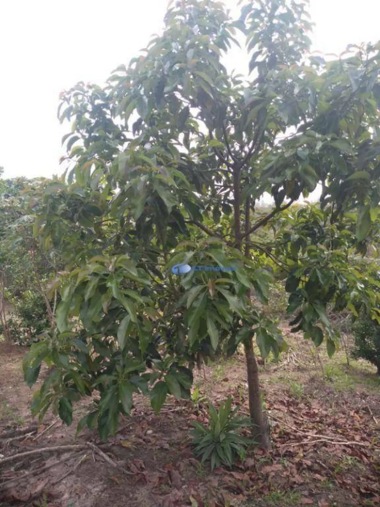 Terreno, 1100 m² - Foto 2