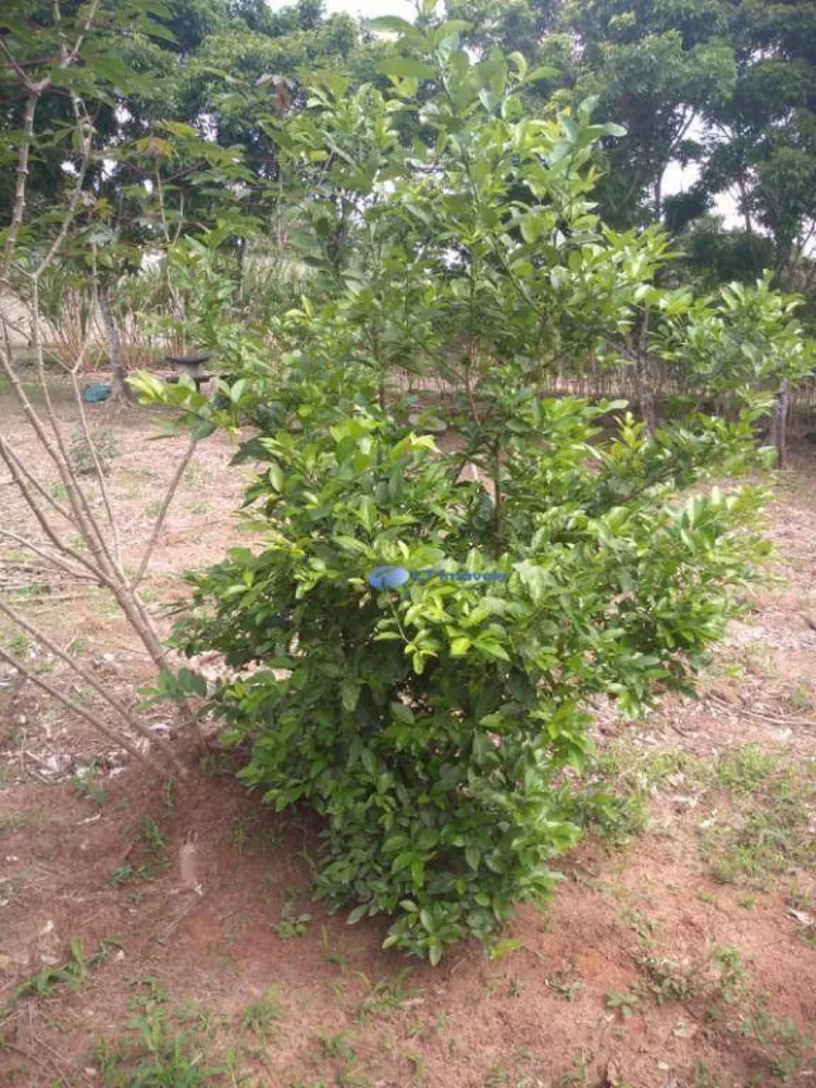 Terreno, 1100 m² - Foto 5