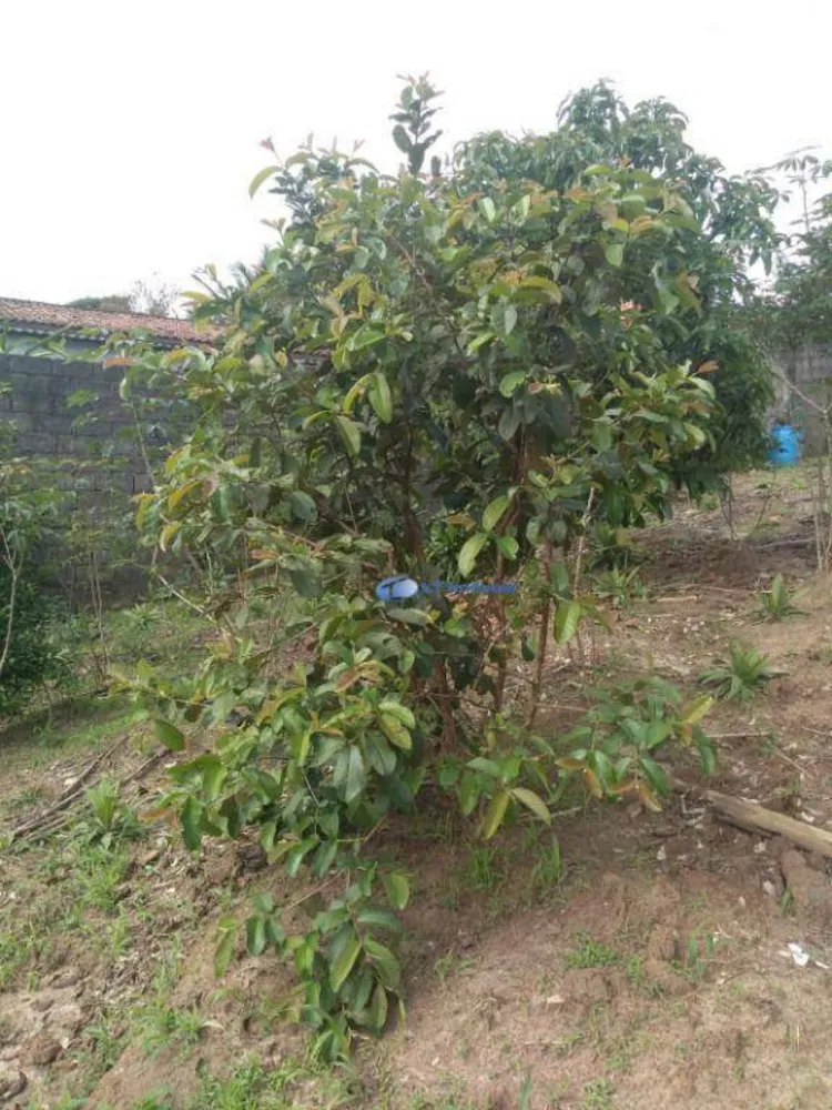 Terreno, 1100 m² - Foto 6