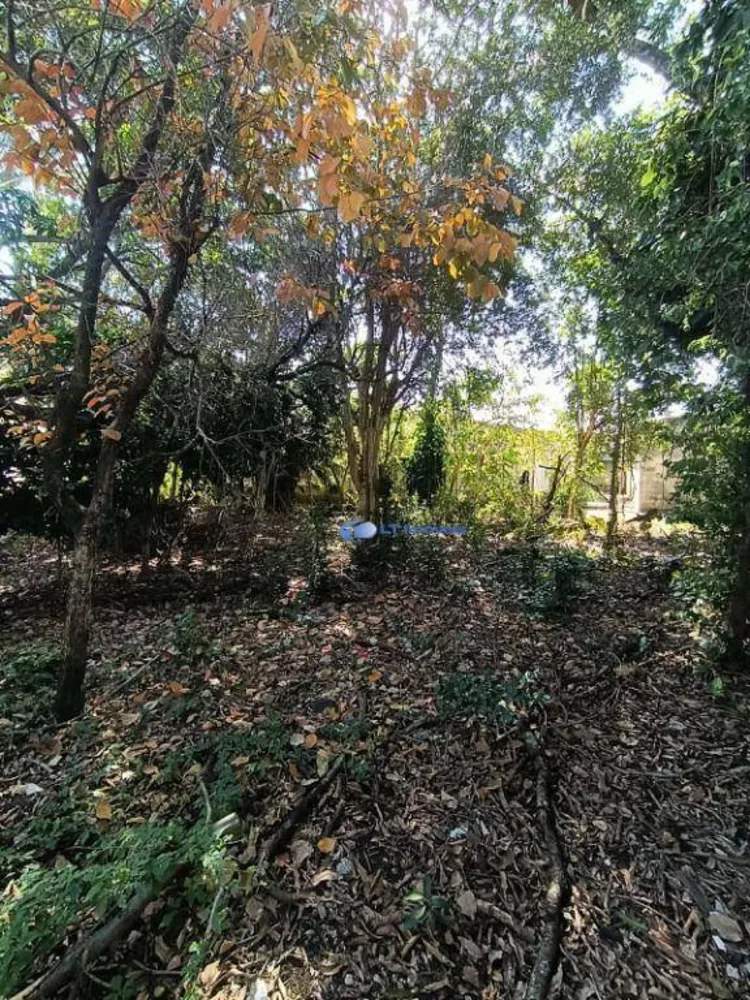 Terreno, 842 m² - Foto 3