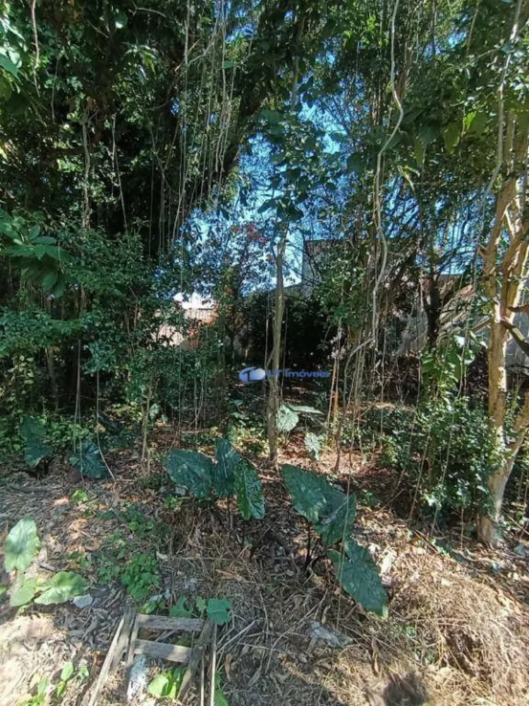 Terreno, 842 m² - Foto 5