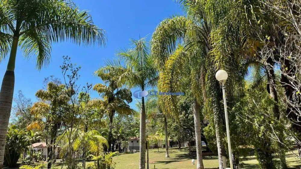Chácara, 6 quartos, 9339 m² - Foto 14