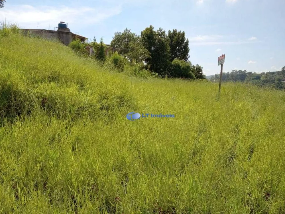 Terreno, 1 hectares - Foto 3