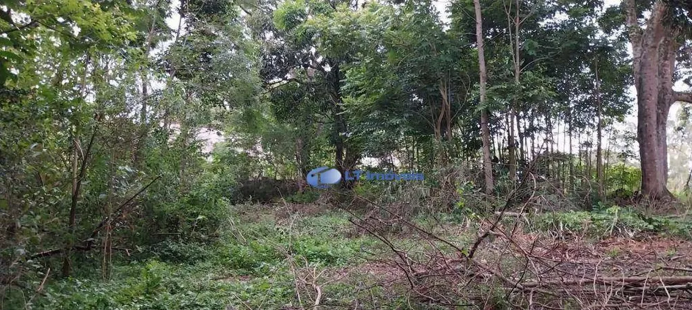 Terreno, 5800 m² - Foto 11