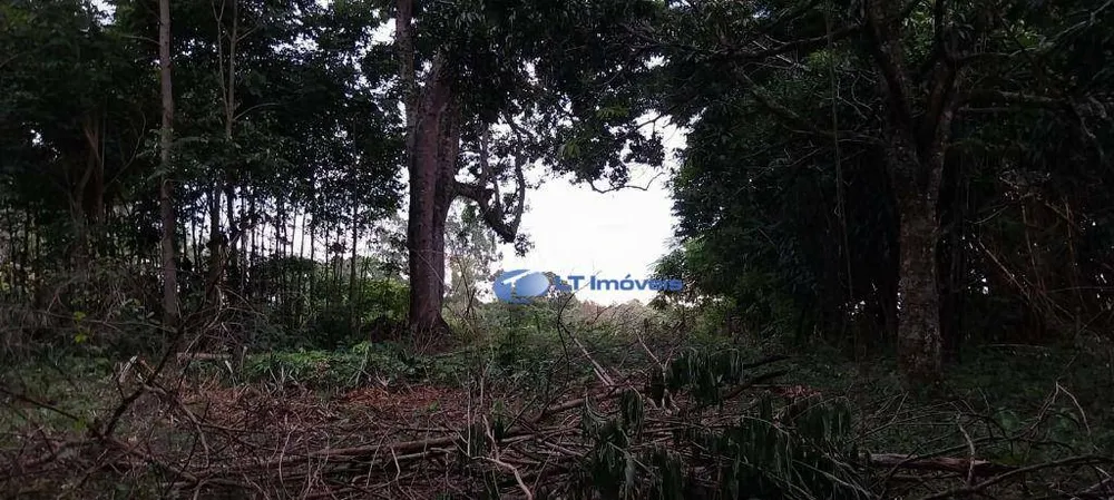 Terreno, 5800 m² - Foto 3