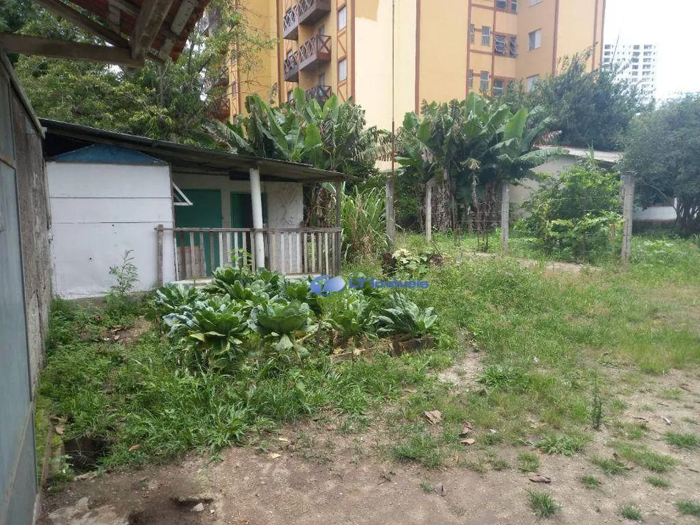 Chácara, 3 quartos, 1066 m² - Foto 8