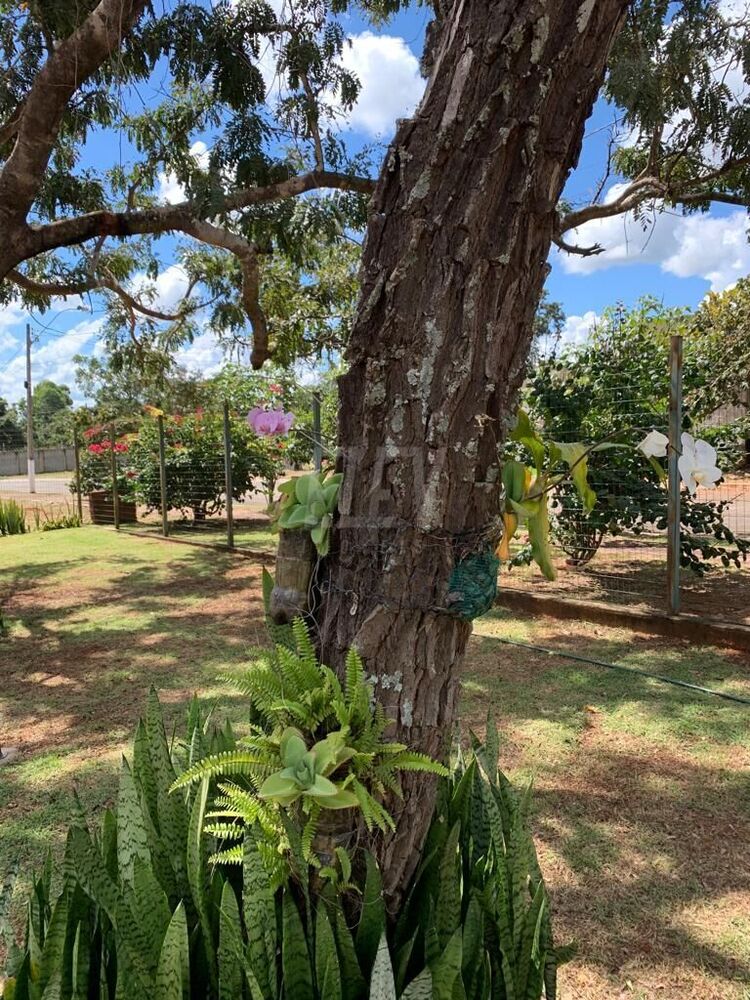 Chácara, 4 quartos, 2850 m² - Foto 3