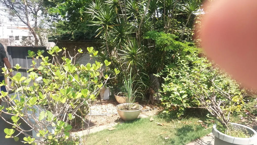 Casa, 3 quartos, 230 m² - Foto 12