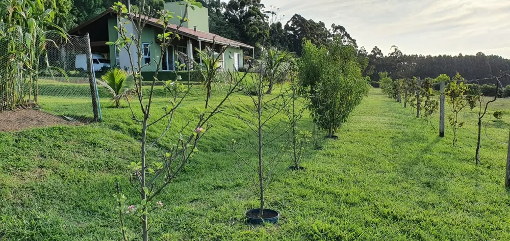 Sítio, 5 quartos, 480 m² - Foto 19