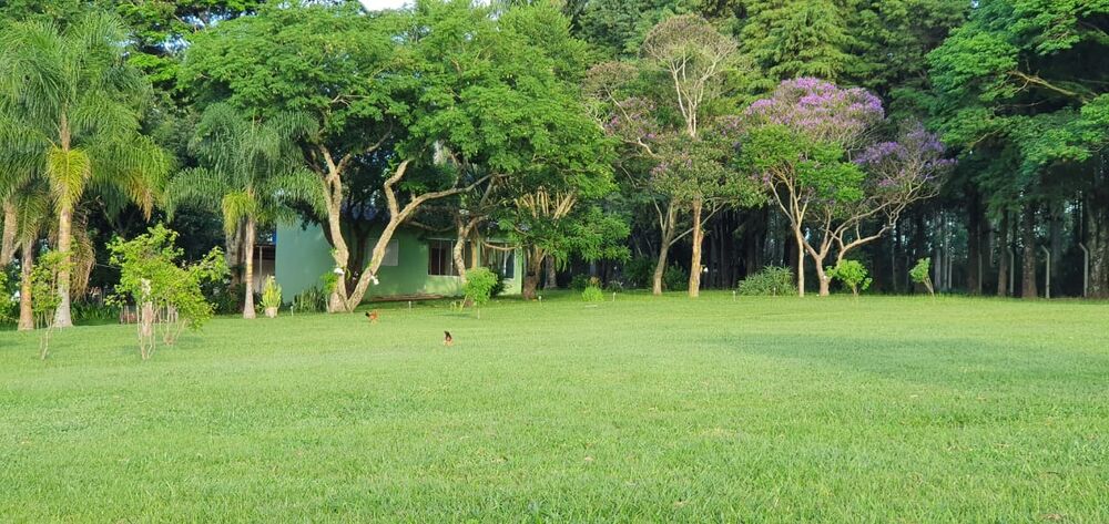 Sítio à venda com 5 quartos, 480m² - Foto 9