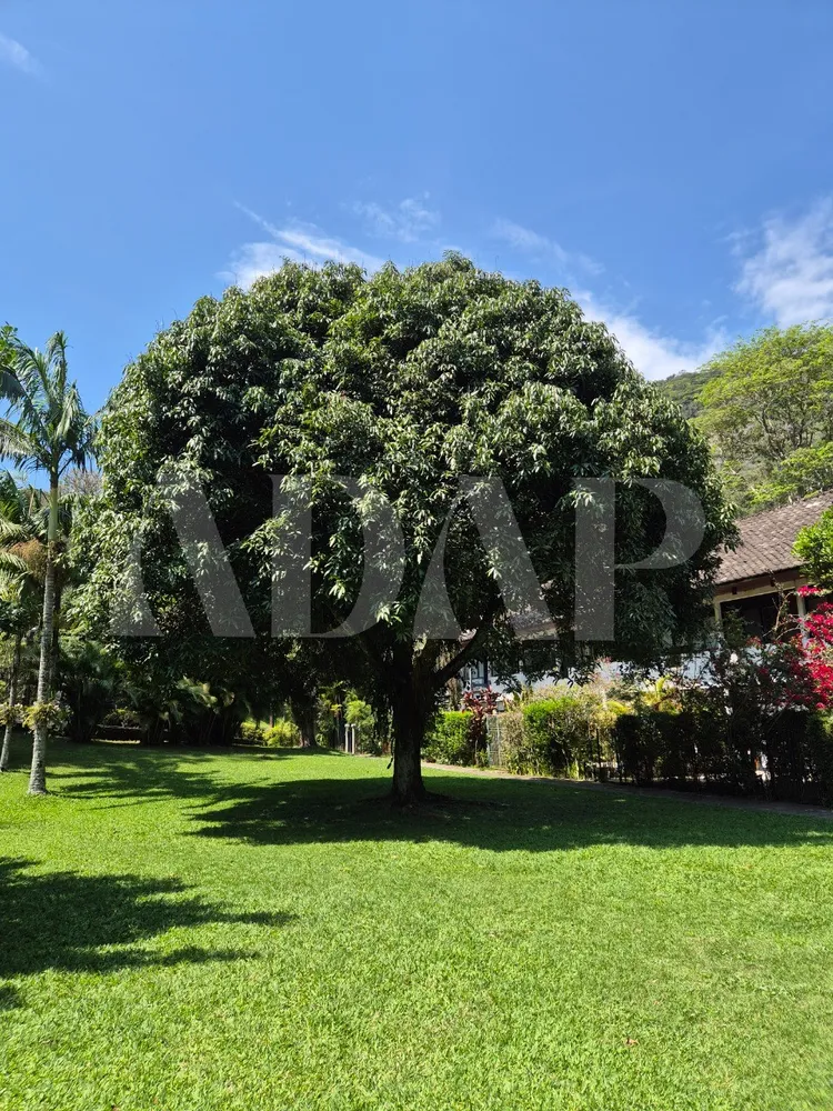 Casa, 4 quartos, 250 m² - Foto 33