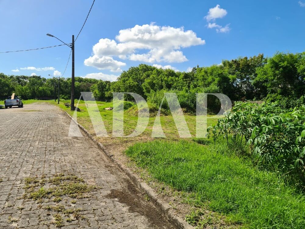 Terreno, 250 m² - Foto 6