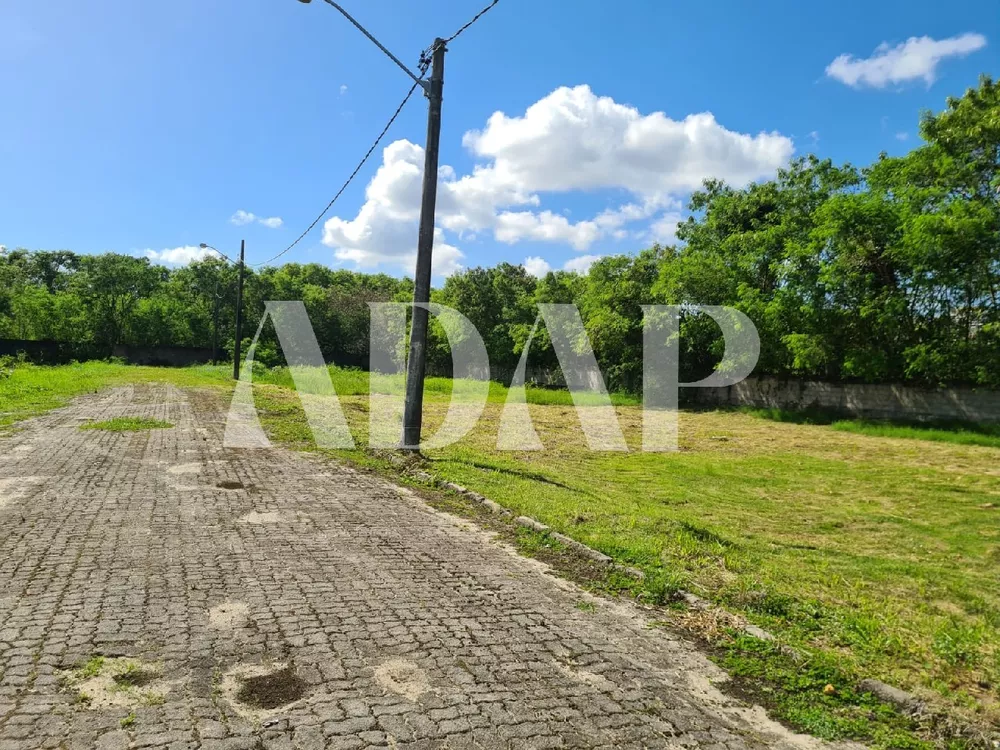 Terreno, 250 m² - Foto 9