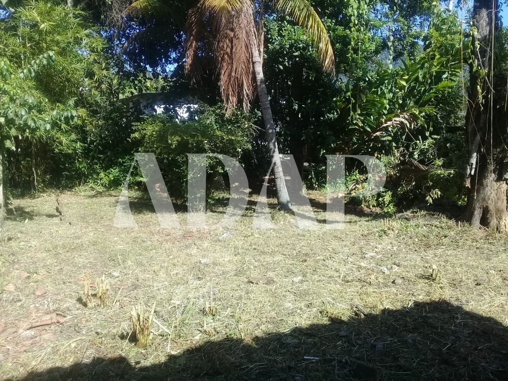 Casa, 5 quartos, 990 m² - Foto 12