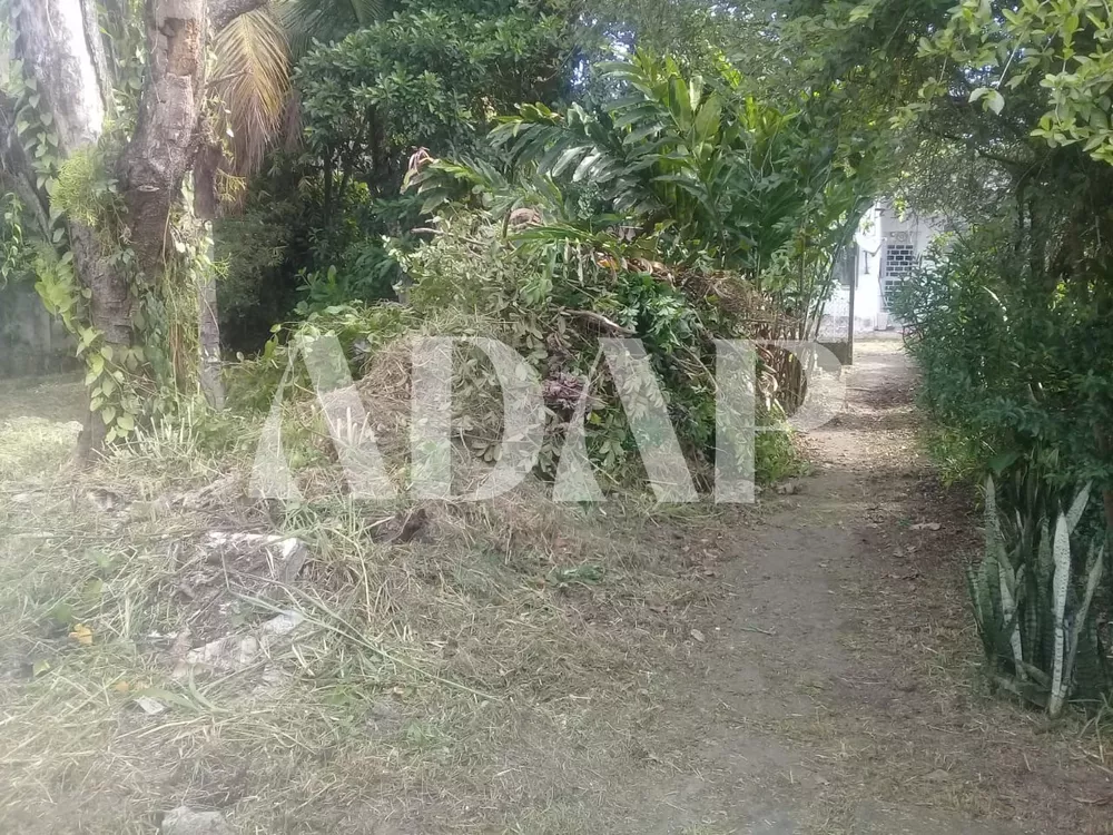 Casa, 5 quartos, 990 m² - Foto 13