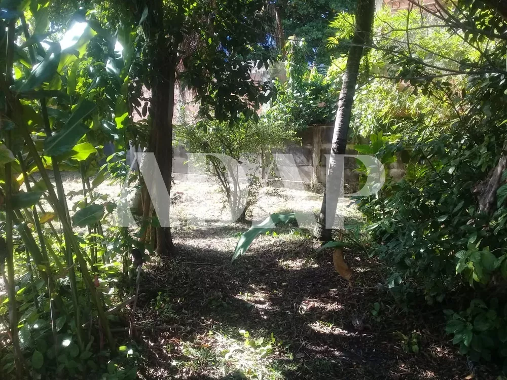 Casa, 5 quartos, 990 m² - Foto 24