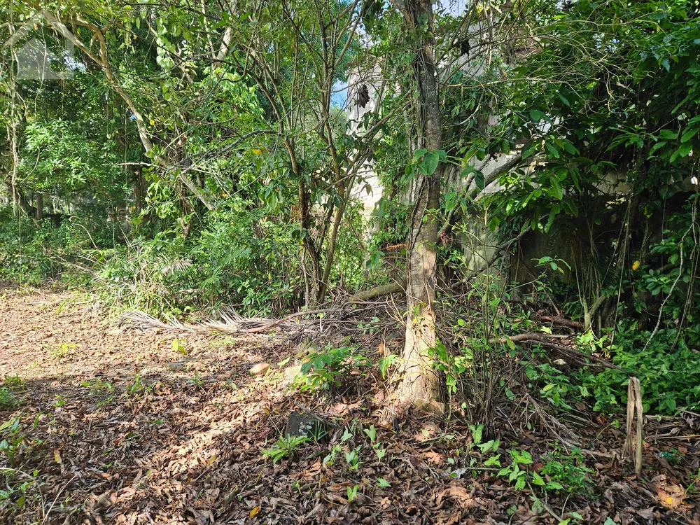 Terreno, 652 m² - Foto 11