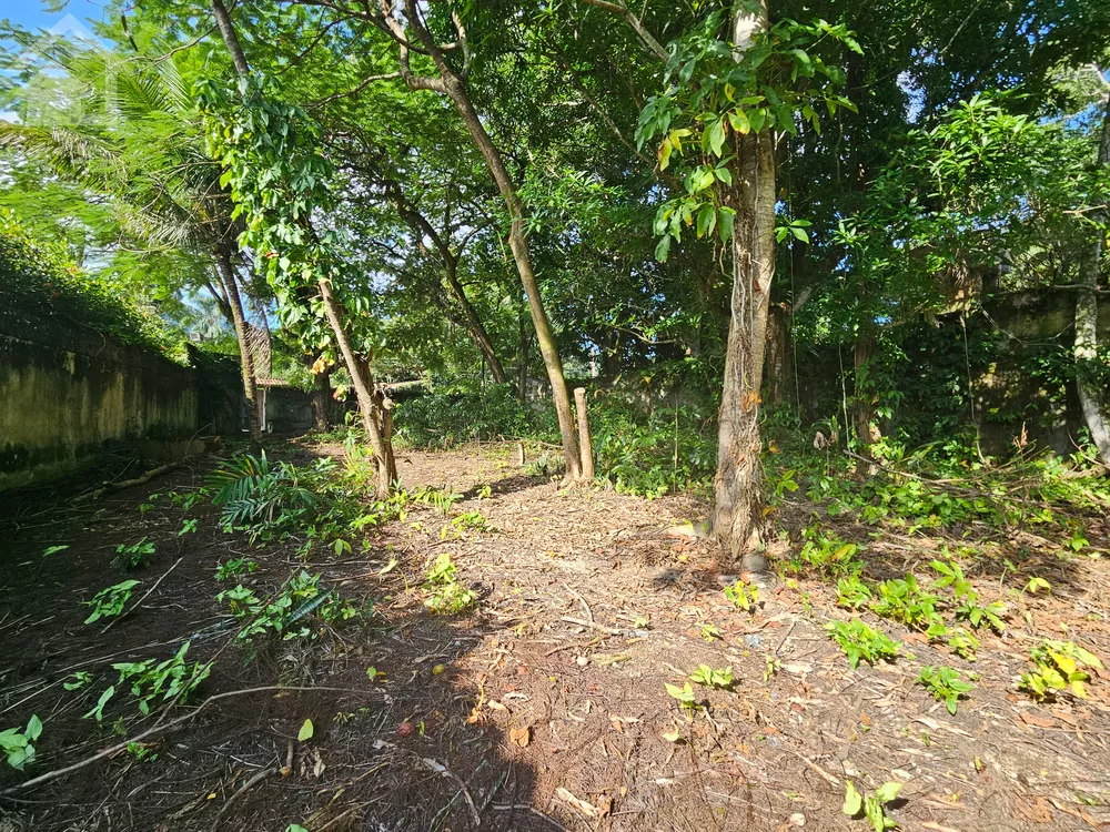 Terreno, 652 m² - Foto 13