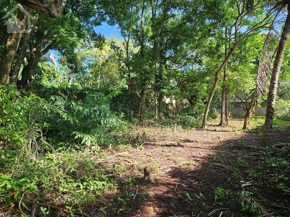 Terreno, 652 m² - Foto 14