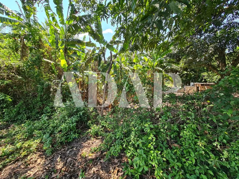 Terreno, 2611 m² - Foto 4