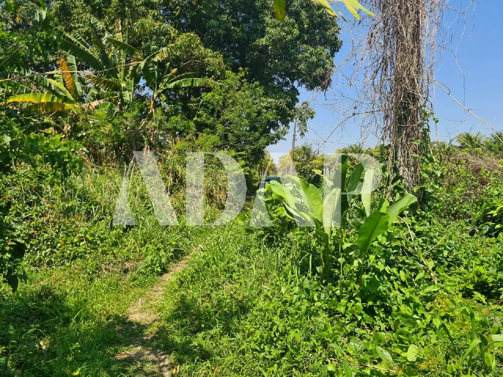 Terreno, 2611 m² - Foto 3