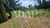 Terreno, 1170 m² - Foto 5