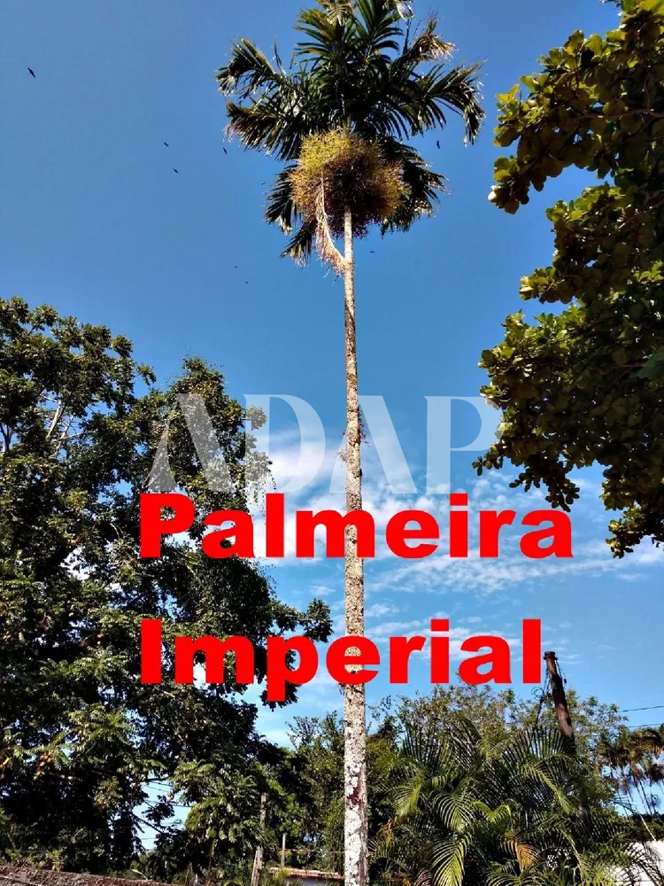 Casa, 3 quartos, 255 m² - Foto 17