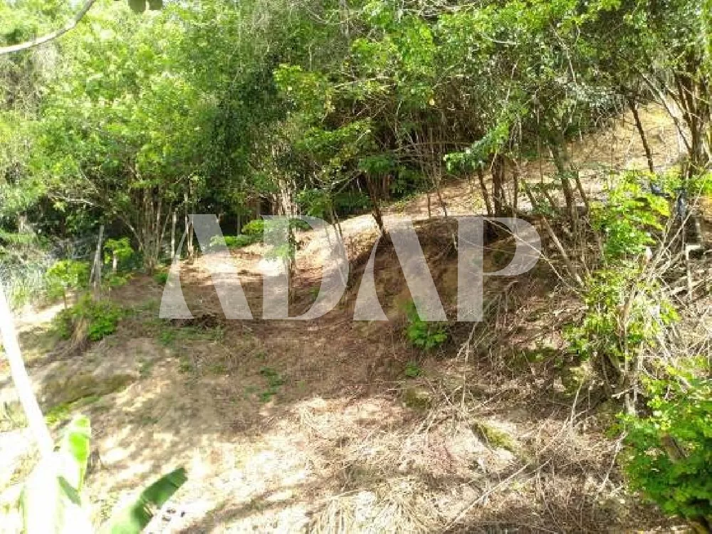 Casa, 4 quartos, 250 m² - Foto 24