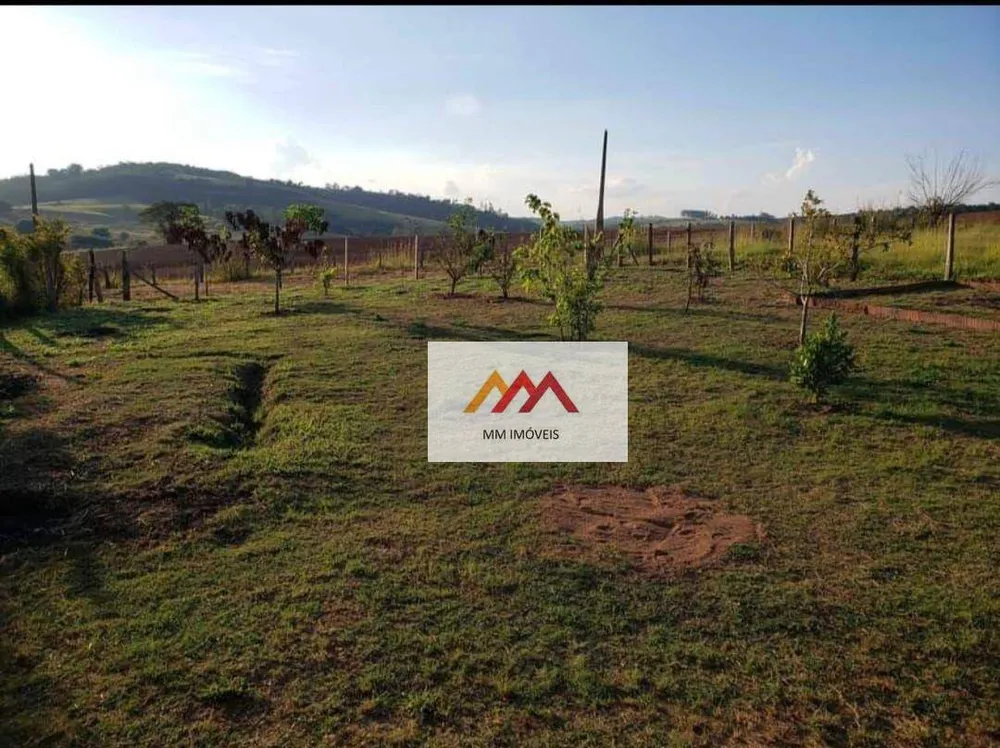 Chácara, 1 quarto, 10000 m² - Foto 4