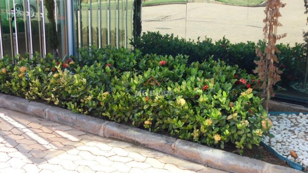 Terreno, 600 m² - Foto 14