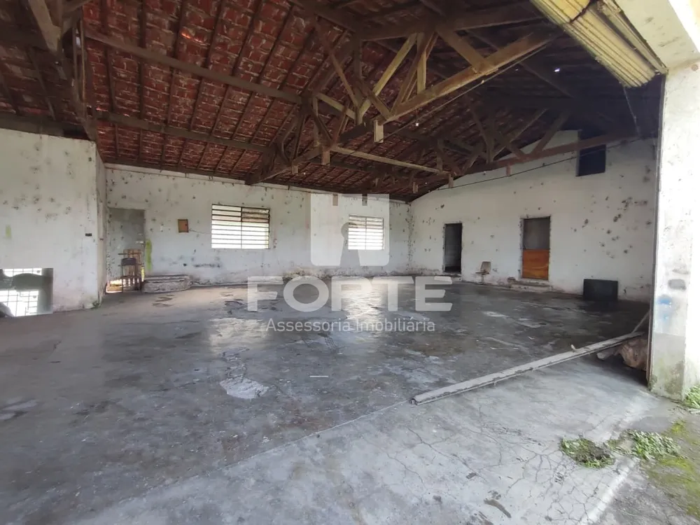 Sítio, 3 quartos, 75000 m² - Foto 8