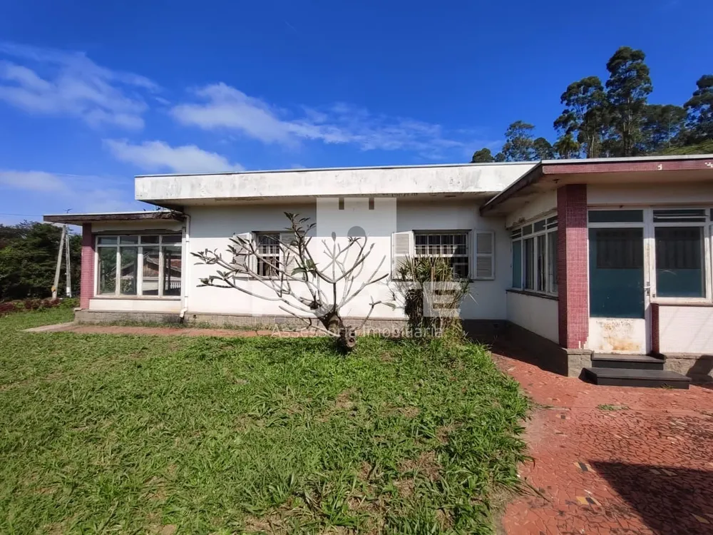 Sítio, 3 quartos, 75000 m² - Foto 4