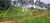 Terreno, 360 m² - Foto 2