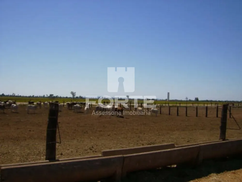 Fazenda, 4 hectares - Foto 6