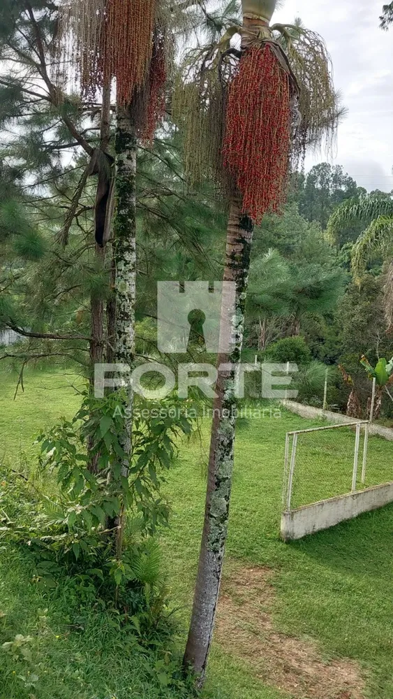 Chácara, 8 quartos, 8000 m² - Foto 7