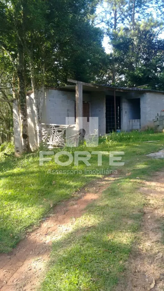 Chácara, 8 quartos, 8000 m² - Foto 3