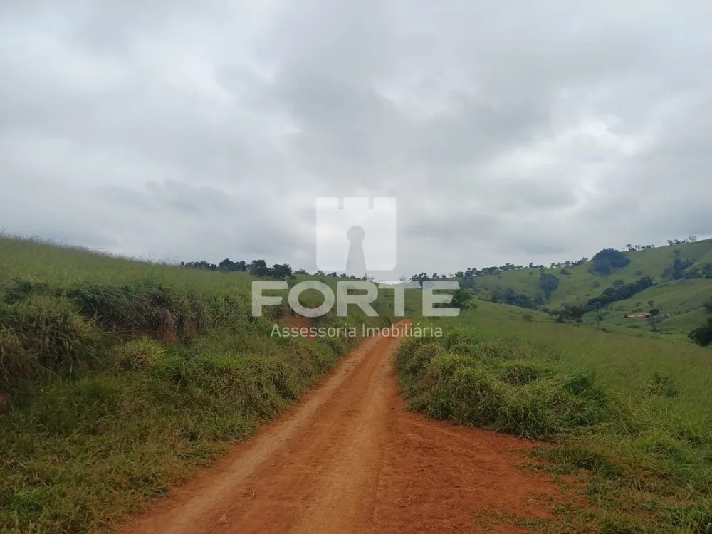 Fazenda, 39 hectares - Foto 3