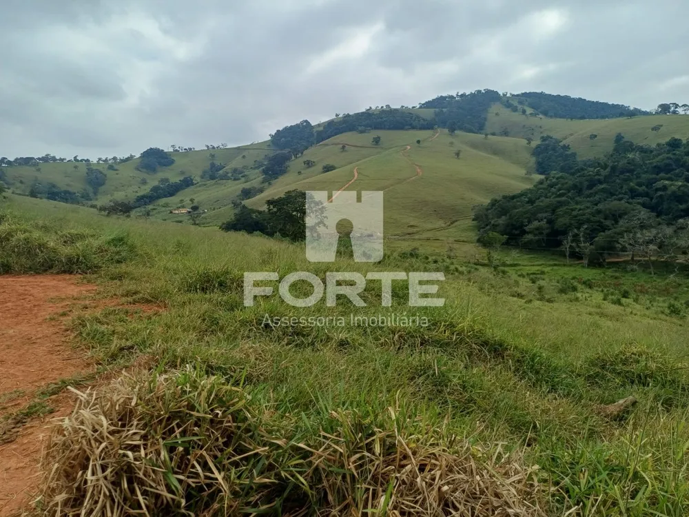 Fazenda, 39 hectares - Foto 5
