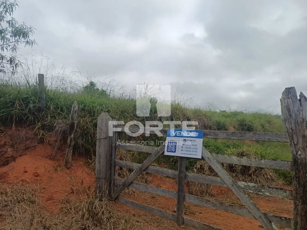 Fazenda, 39 hectares - Foto 4
