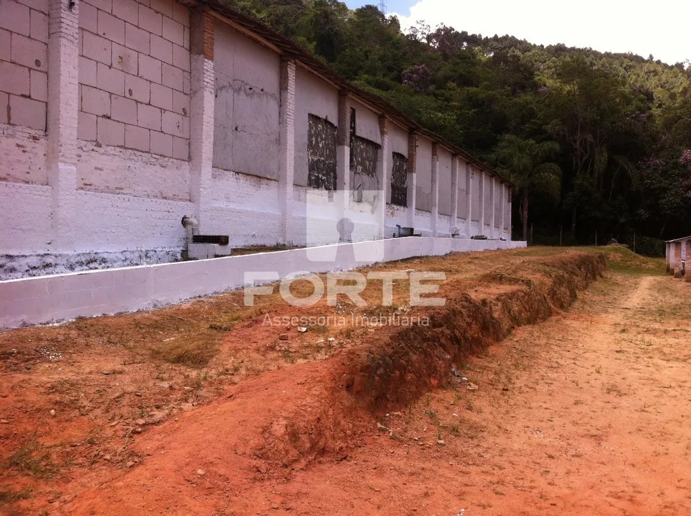 Sítio, 700 m² - Foto 4