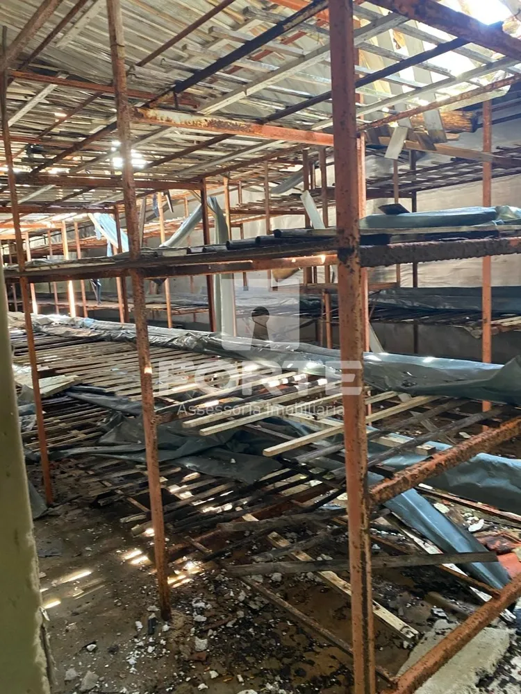 Sítio, 700 m² - Foto 8