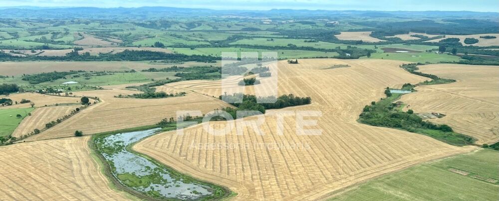 Fazenda, 214 m² - Foto 3