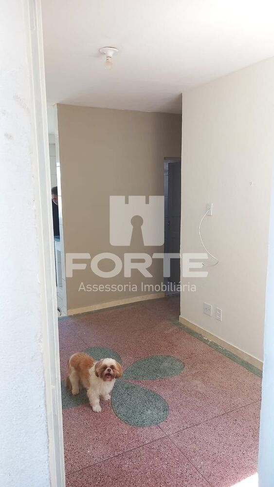 Fazenda, 214 m² - Foto 8