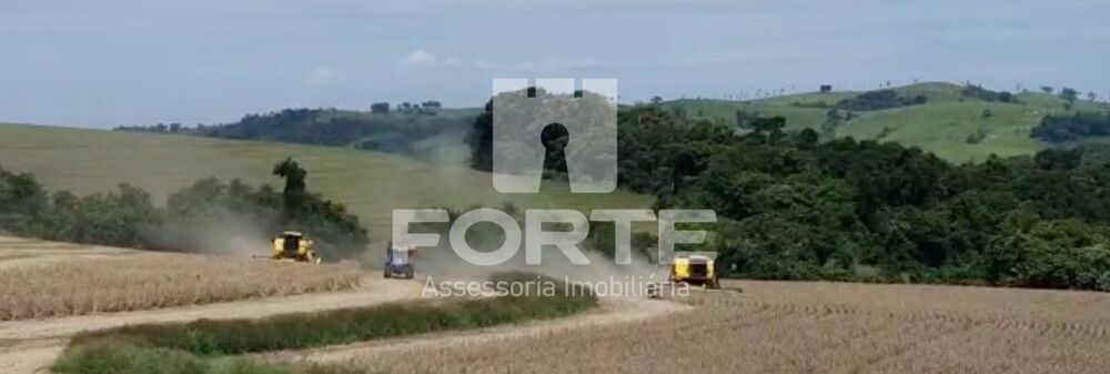 Fazenda, 214 m² - Foto 4