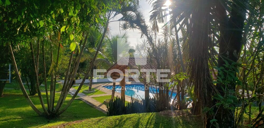 Chácara, 4 quartos, 4 hectares - Foto 4