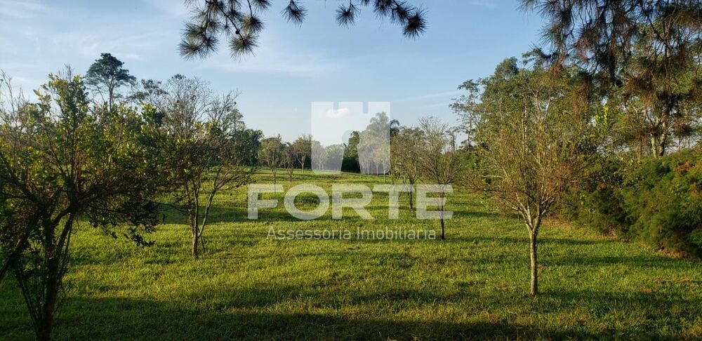 Chácara, 4 quartos, 4 hectares - Foto 16